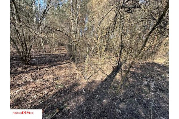 grodziski, Żabia Wola, Siestrzeń, Siestrzeń/Urzut,duża,ogrodzona,prąd,gaz,wodociąg,