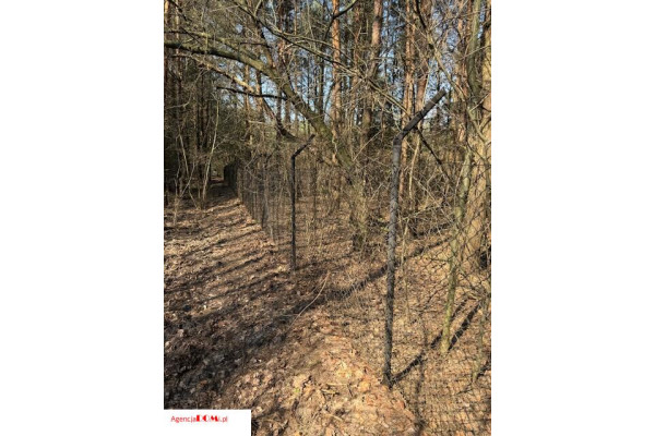 grodziski, Żabia Wola, Siestrzeń, Siestrzeń/Urzut,duża,ogrodzona,prąd,gaz,wodociąg,